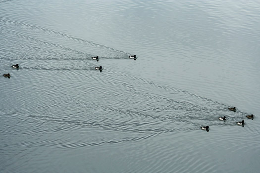 00018__IMG_1486 Kopie.jpg