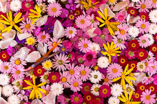 Thumbnail Album Morocco