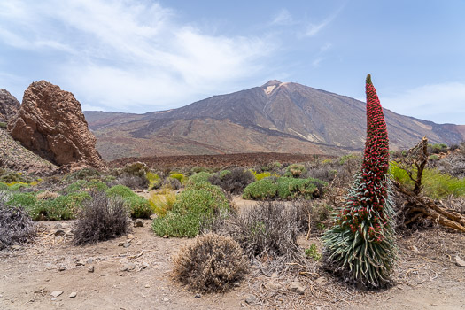 Thumbnail Album Tenerife