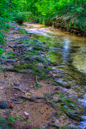 00092__Generated HDR - Tone mapped.jpg